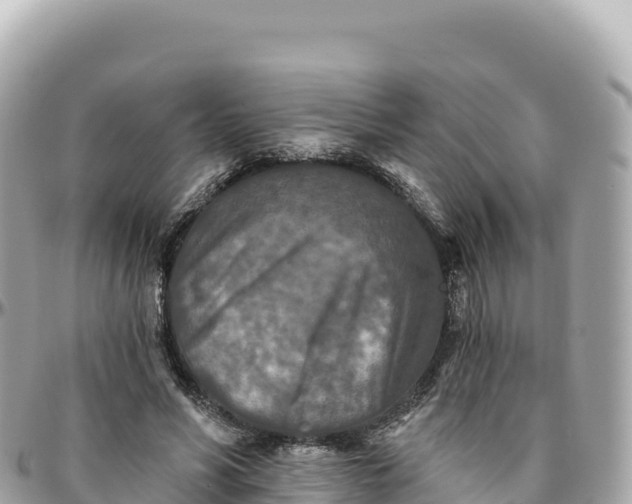 X0000095880590200801251142