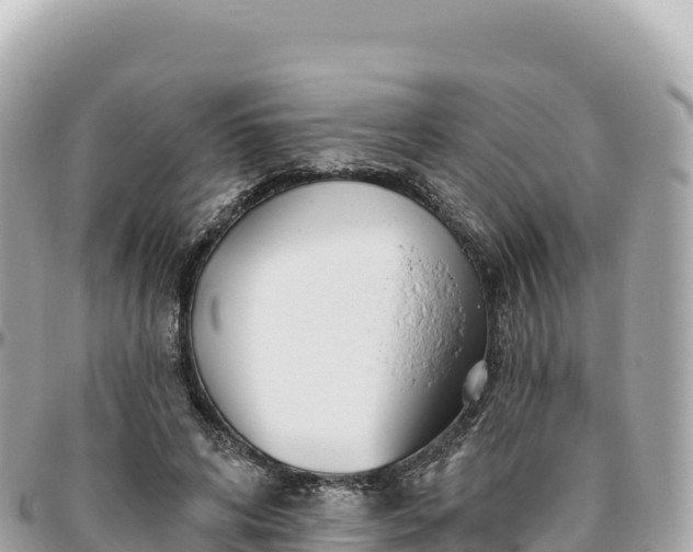 X0000095880592200801251142