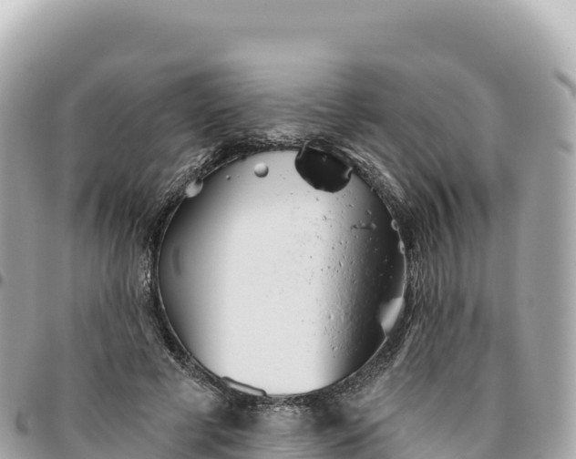 X0000095880593200801251142