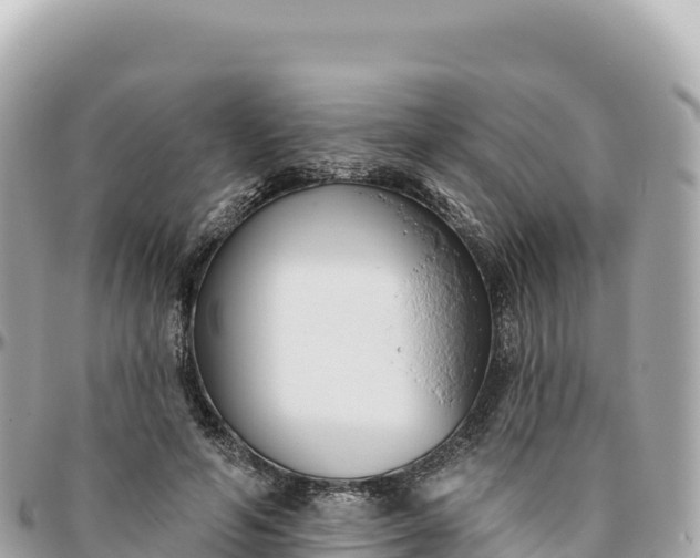 X0000095880594200801251142