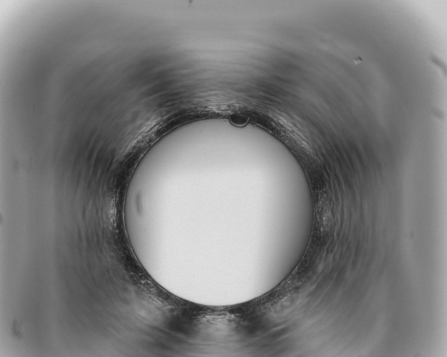 X0000095880595200801251142