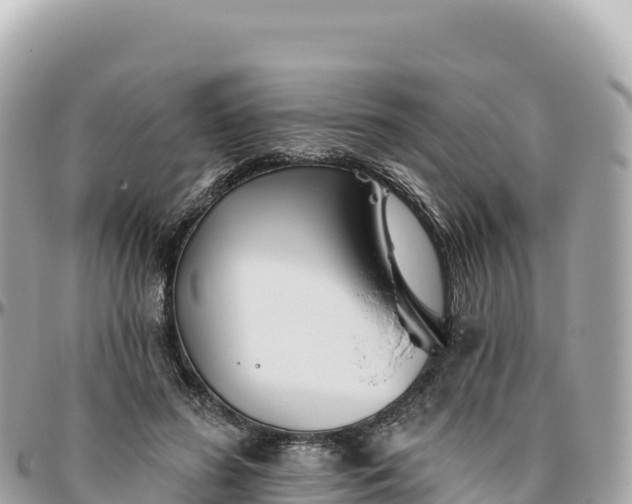 X0000095880596200801251142