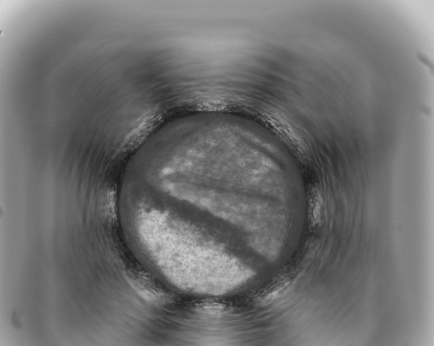 X0000095880598200801251142