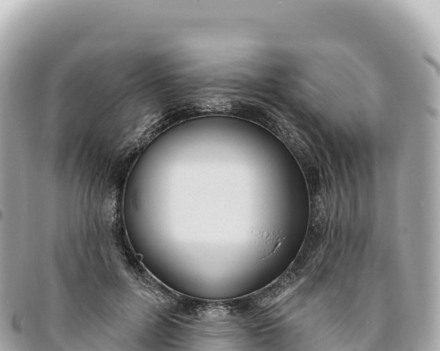 X0000095880600200801251142