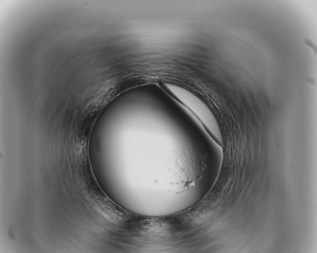 X0000095880601200801251142