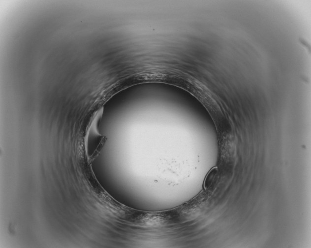 X0000095880604200801251142