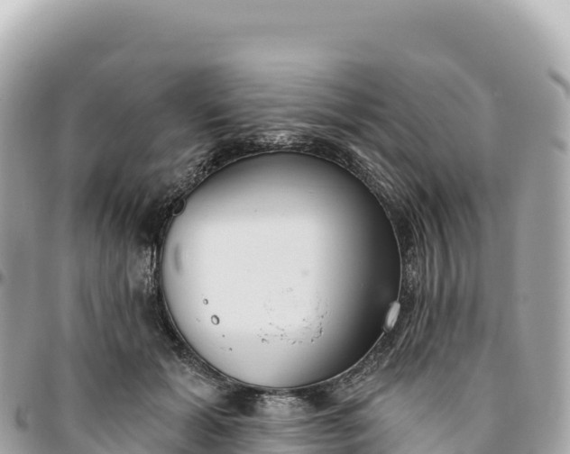 X0000095880605200801251142