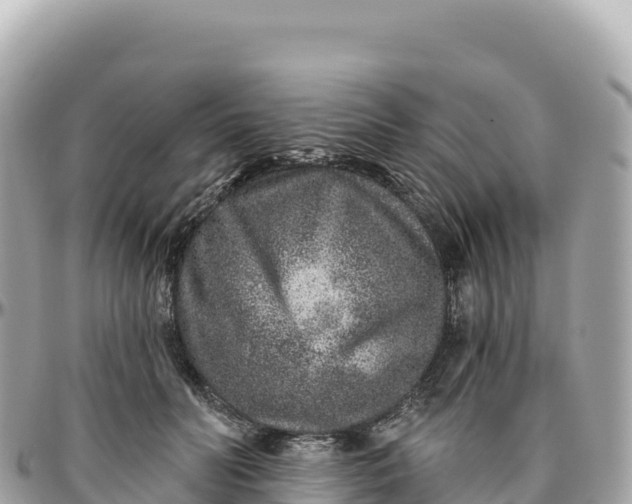 X0000095880606200801251142