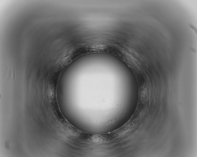 X0000095880608200801251142