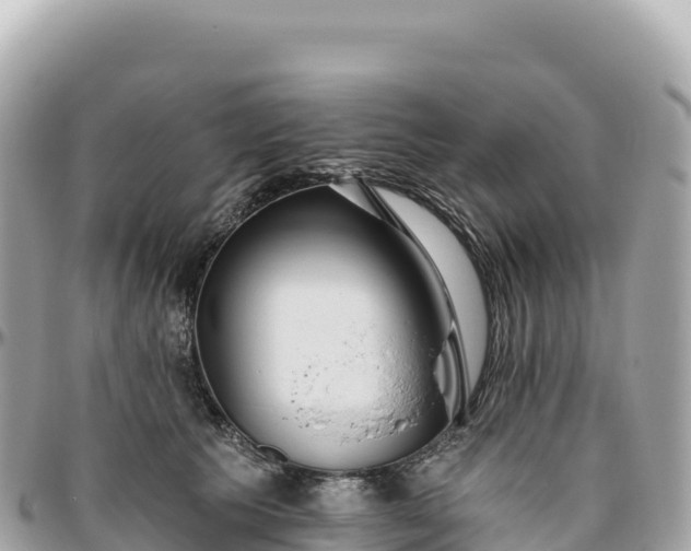 X0000095880609200801251142