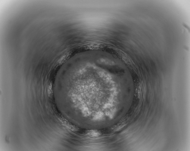 X0000095880610200801251142