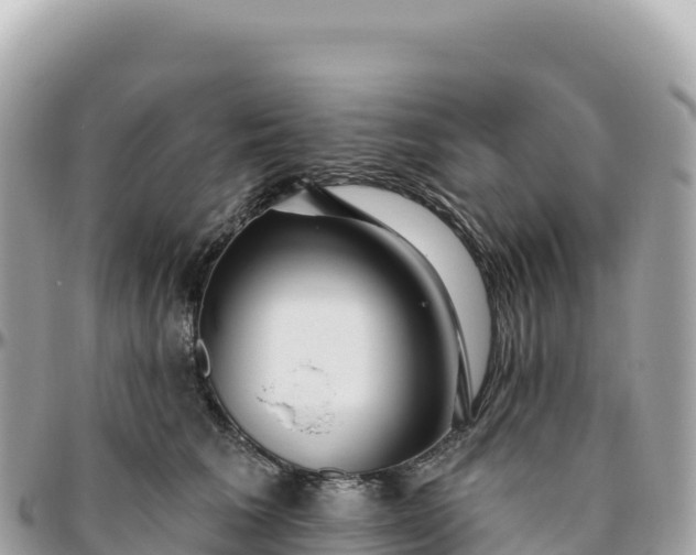 X0000095880613200801251142