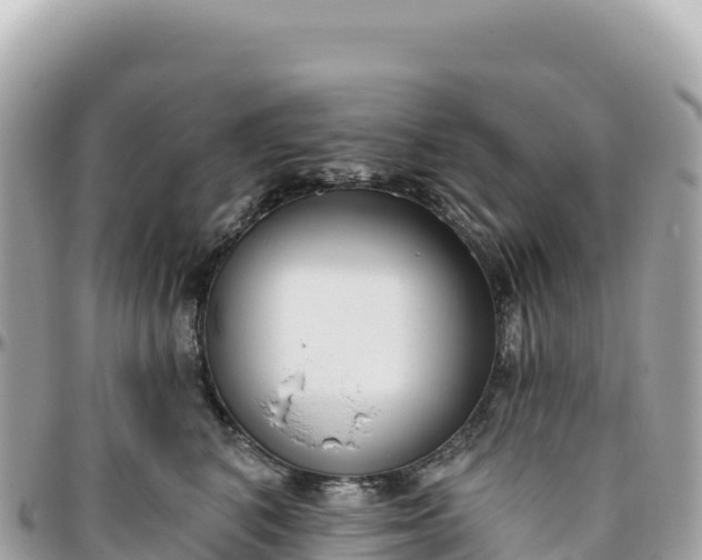 X0000095880616200801251142