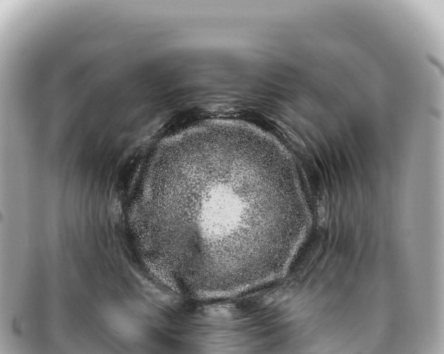 X0000095880618200801251142