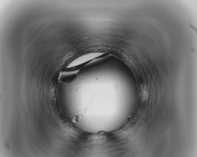 X0000095880619200801251142