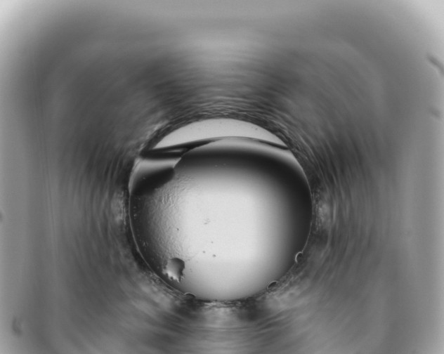 X0000095880620200801251142