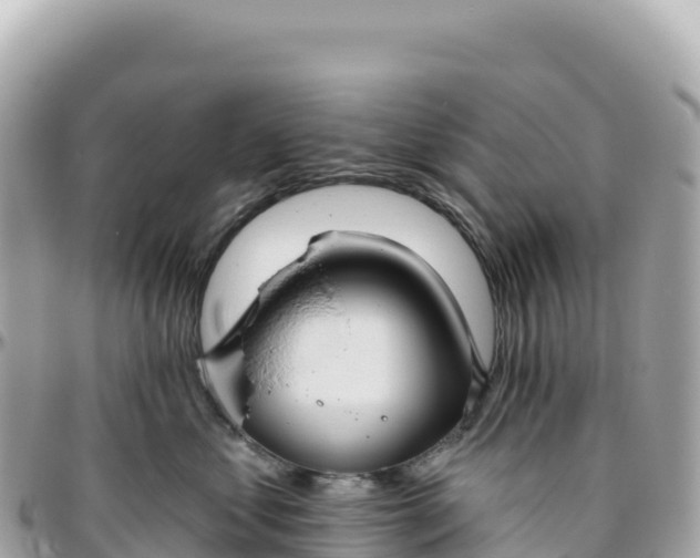 X0000095880621200801251142