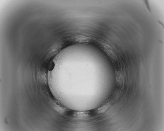 X0000095880622200801251142