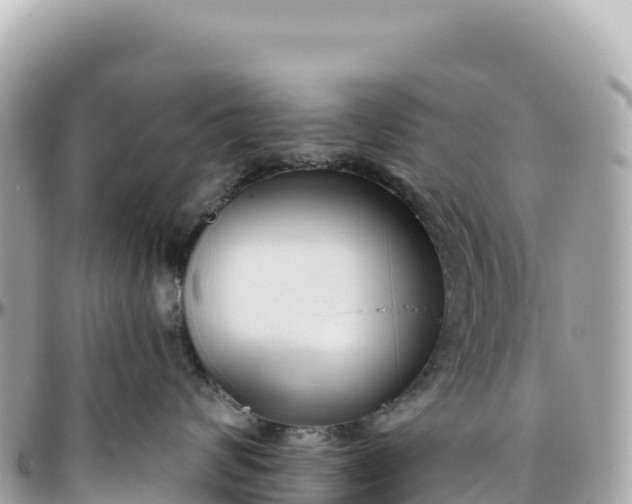 X0000095880624200801251142