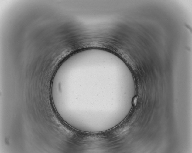 X0000095880625200801251141