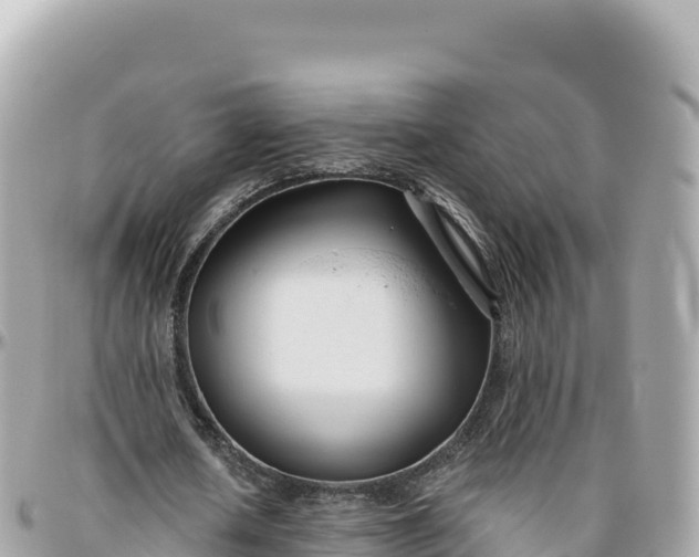 X0000095880626200801251141