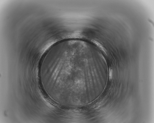 X0000095880627200801251141