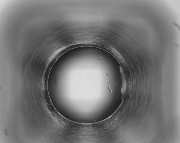 X0000095880628200801251141