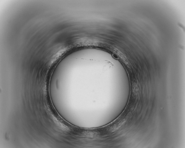 X0000095880629200801251141