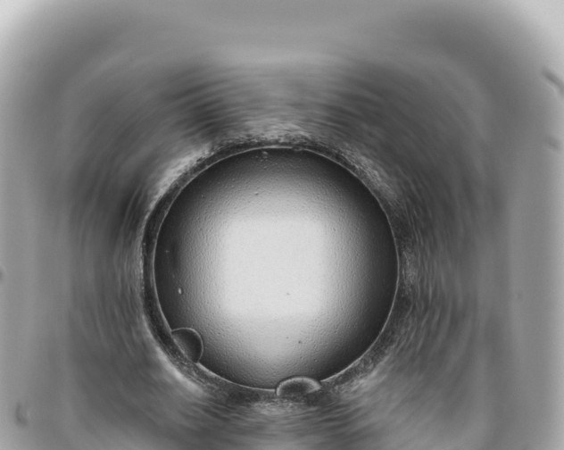 X0000095880630200801251141