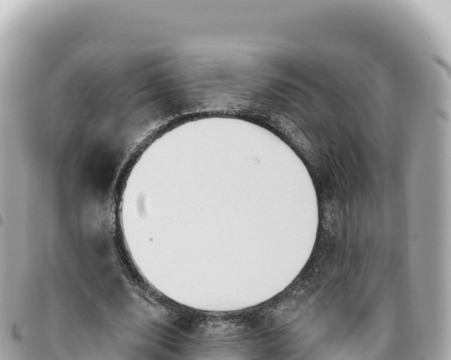 X0000095880632200801251141