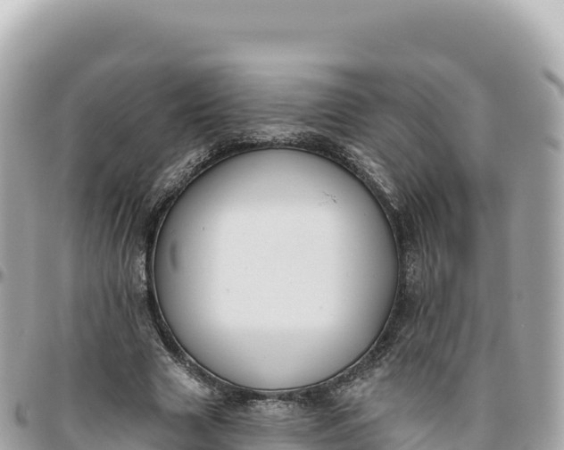 X0000095880633200801251141