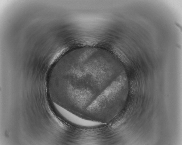 X0000095880634200801251141