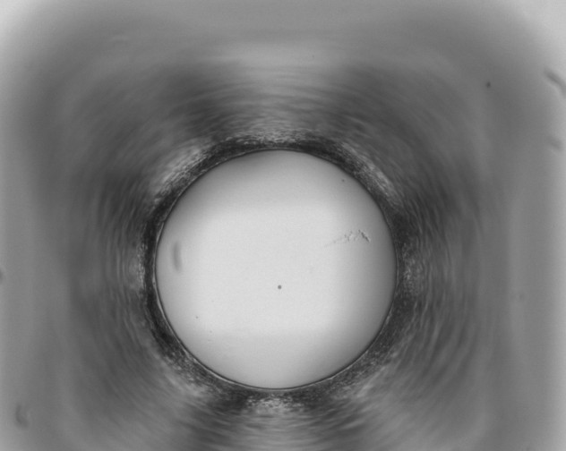 X0000095880635200801251141