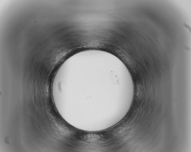 X0000095880636200801251141