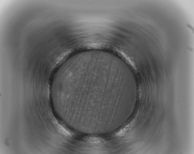 X0000095880637200801251141