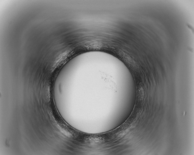 X0000095880638200801251141