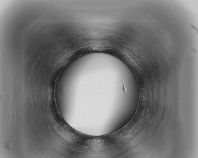 X0000095880639200801251141