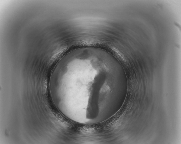 X0000095880640200801251141