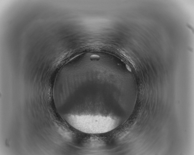 X0000095880641200801251141