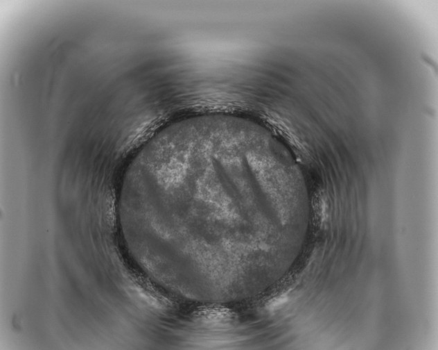 X0000095880642200801251141