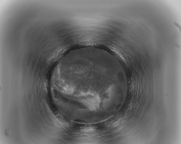 X0000095880643200801251141