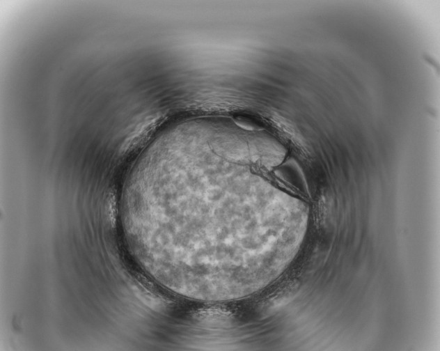 X0000095880644200801251141