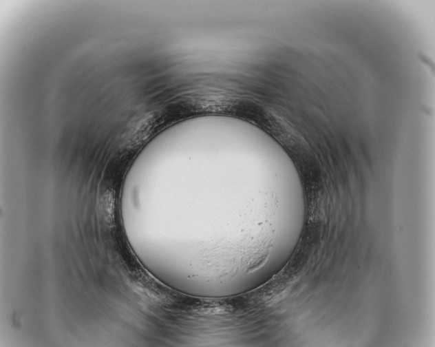 X0000095880646200801251141