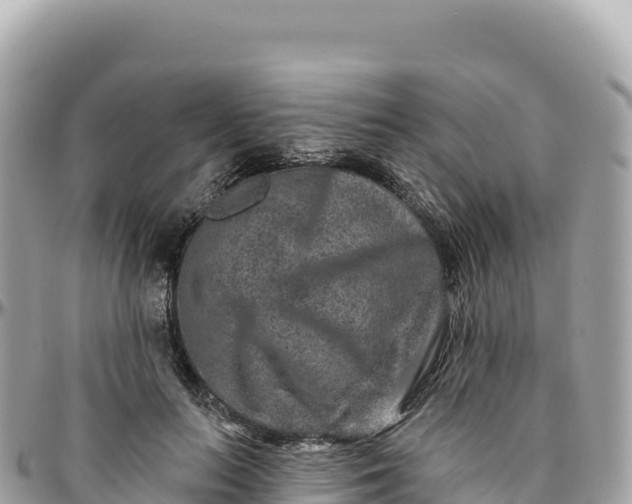 X0000095880647200801251141