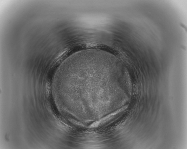 X0000095880648200801251141