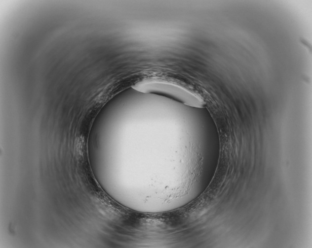 X0000095880649200801251141