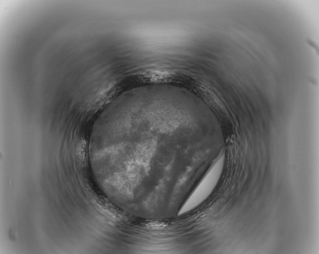 X0000095880650200801251141