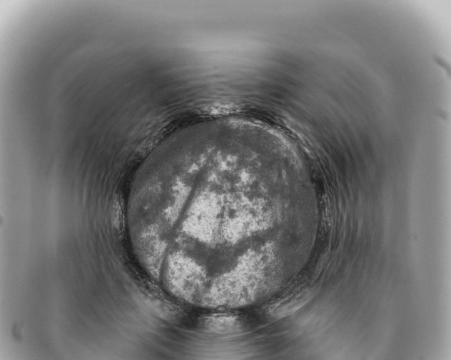 X0000095880651200801251141