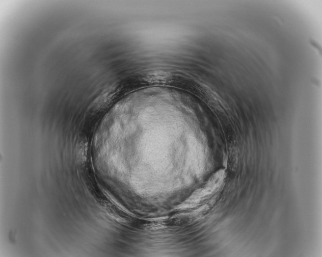 X0000095880652200801251141