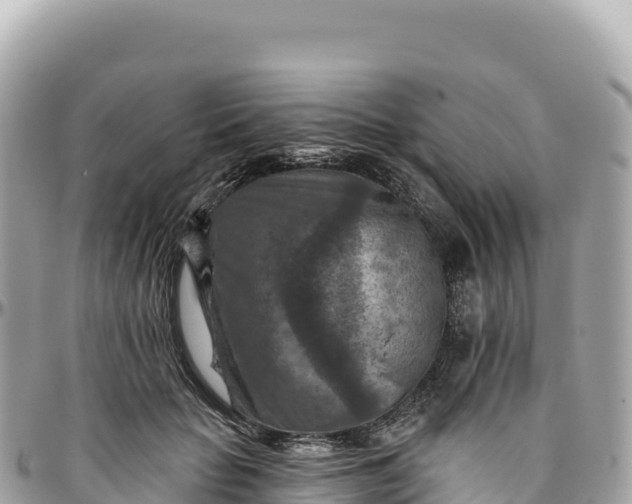 X0000095880653200801251141